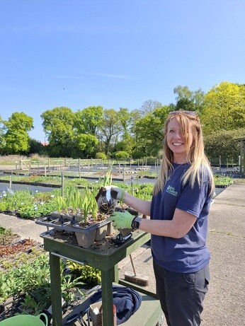 Weekly catch up with gardens & propagation Weekly catch up with gardens & propagation