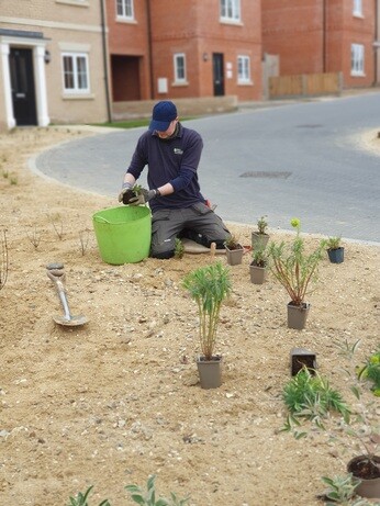 Weekly catch up with gardens & propagation Weekly catch up with gardens & propagation