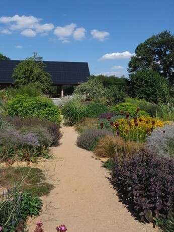 Weekly catch up with garden & propagation Weekly catch up with garden & propagation