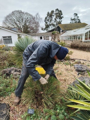 Weekly catch up with garden & propagation Weekly catch up with garden & propagation