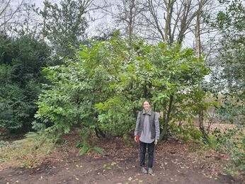 A Year in the Gardens-2022 A Year in the Gardens-2022