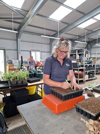 Weekly catch up with garden & propagation Weekly catch up with garden & propagation