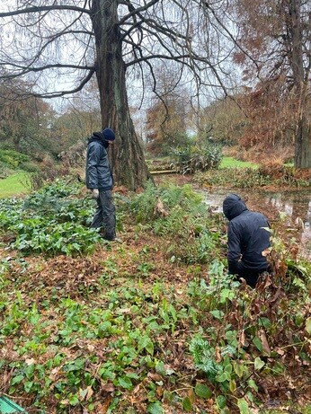 Weekly catch up with garden & propagation Weekly catch up with garden & propagation