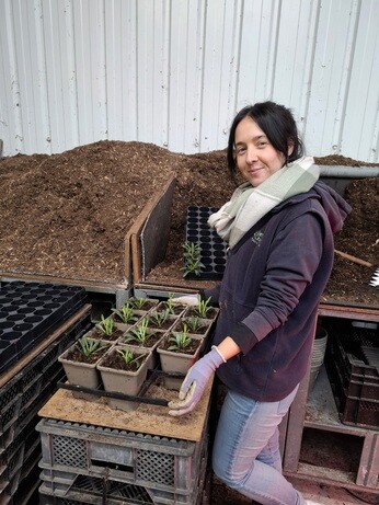 Weekly catch up with gardens & propagation Weekly catch up with gardens & propagation
