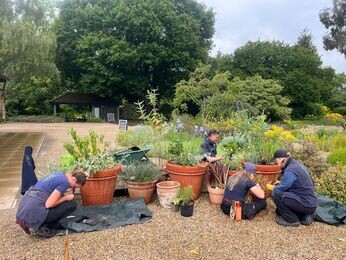 This week with the garden team- late May This week with the garden team- late May