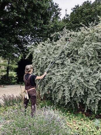 Weekly catch up with garden & propagation Weekly catch up with garden & propagation