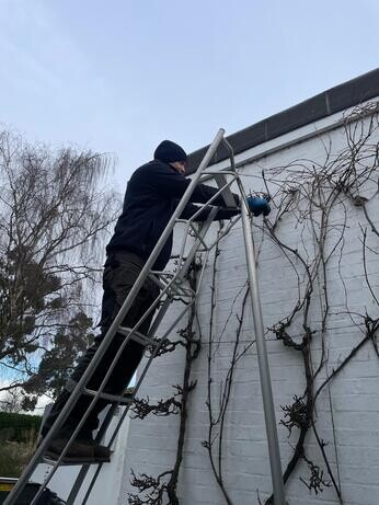 January news from the garden and propagation January news from the garden and propagation