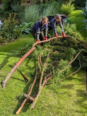 Weekly catch up with garden & propagation Weekly catch up with garden & propagation