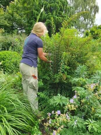A look back at 2024 with the garden team A look back at 2024 with the garden team