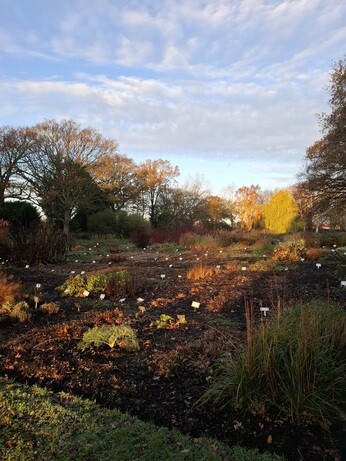 Weekly catch up with garden & propagation Weekly catch up with garden & propagation