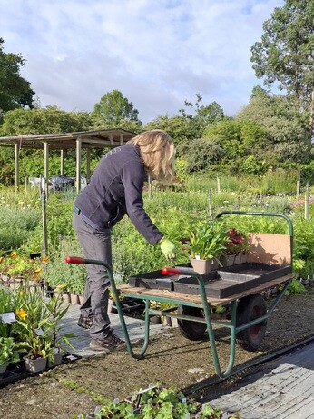 Weekly catch up with garden and propagation Weekly catch up with garden and propagation