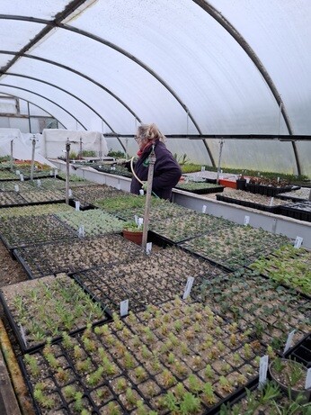 February news from the garden and propagation February news from the garden and propagation