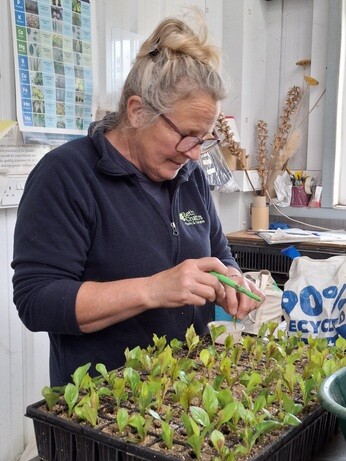 Weekly catch up with garden and propagation Weekly catch up with garden and propagation