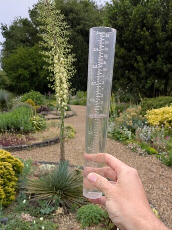 Weekly catch up with garden and propagation Weekly catch up with garden and propagation