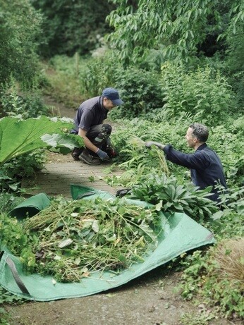 Weekly catch up with garden & propagation Weekly catch up with garden & propagation
