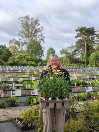 Weekly catch up with garden and propagation Weekly catch up with garden and propagation