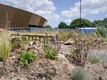 Beth Chatto's Meanwhile Garden Beth Chatto's Meanwhile Garden