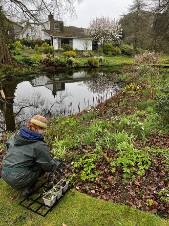 Weekly catch up with garden & propagation Weekly catch up with garden & propagation
