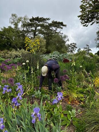 Weekly catch up with garden and propagation Weekly catch up with garden and propagation