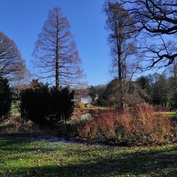 Apprentice Hannah- 'My favourite places in the garden' Apprentice Hannah- 'My favourite places in the garden'