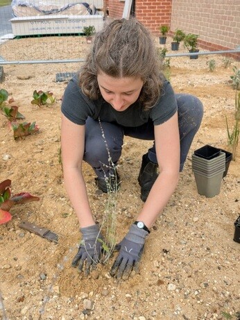 Weekly catch up with garden & propagation Weekly catch up with garden & propagation