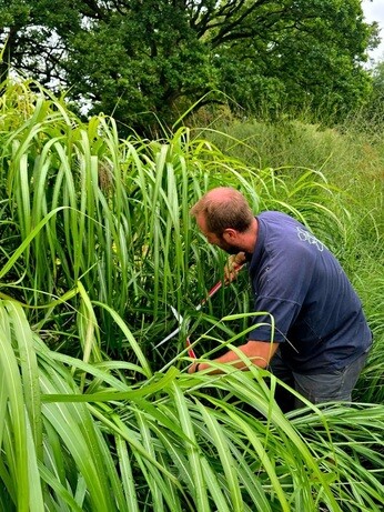 Weekly catch up with garden & propagation Weekly catch up with garden & propagation
