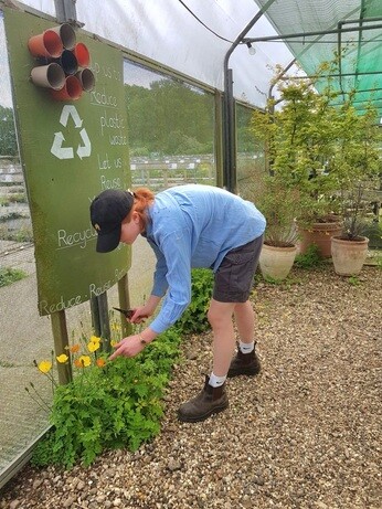 Weekly catch up with garden and propagation Weekly catch up with garden and propagation