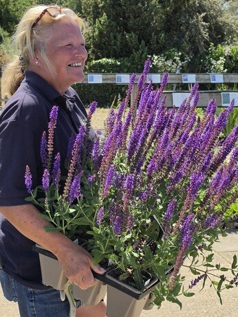 Weekly catch up with garden and propagation Weekly catch up with garden and propagation