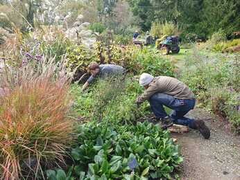 This week in the garden- mid October This week in the garden- mid October