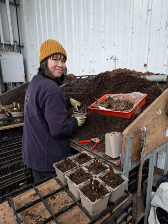 Weekly catch up with garden & propagation Weekly catch up with garden & propagation