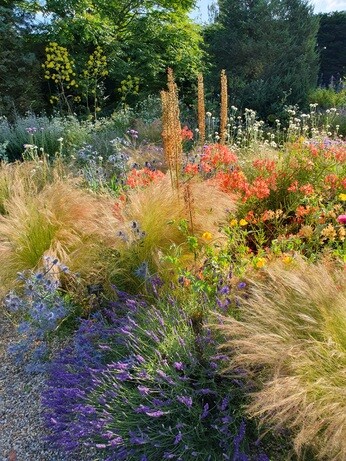Eremurus: The Garden’s most sumptuous spires Eremurus: The Garden’s most sumptuous spires
