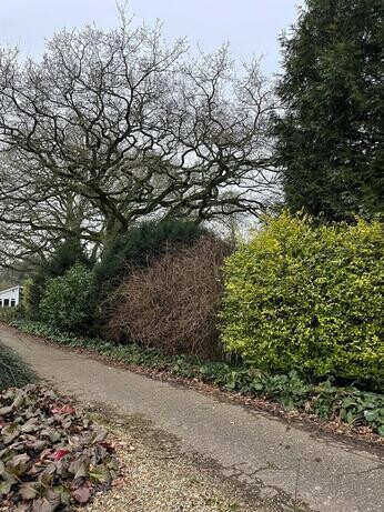 January news from the garden and propagation January news from the garden and propagation