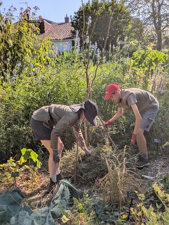 Weekly catch up with garden and propagation Weekly catch up with garden and propagation