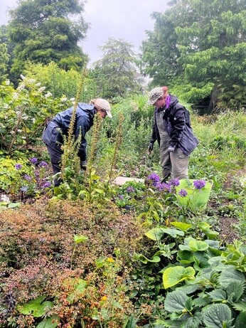 Weekly catch up with garden & propagation Weekly catch up with garden & propagation