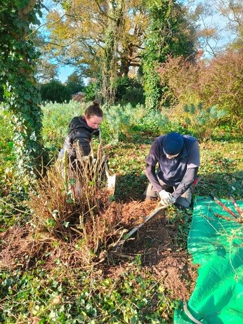 Weekly catch up with garden & propagation Weekly catch up with garden & propagation