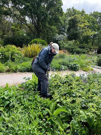 Weekly catch up with garden and propagation Weekly catch up with garden and propagation