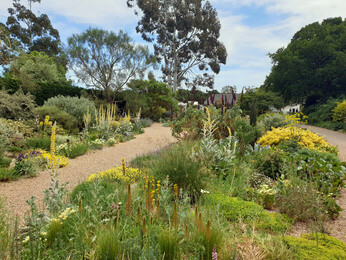 The Chelsea Flower Show and Beth's Legacy The Chelsea Flower Show and Beth's Legacy