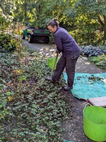 Weekly catch up with garden and propagation Weekly catch up with garden and propagation