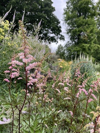Weekly catch up with garden & propagation Weekly catch up with garden & propagation