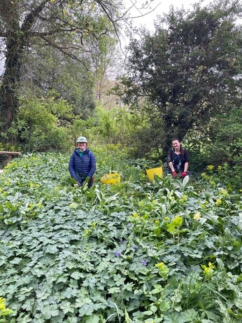 Weekly catch up with garden & propagation Weekly catch up with garden & propagation