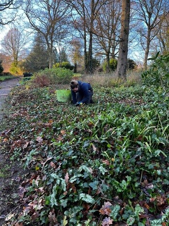 Weekly catch up with garden & propagation Weekly catch up with garden & propagation