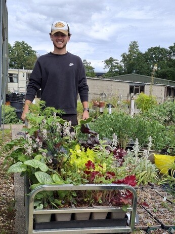 Weekly catch up with garden and propagation Weekly catch up with garden and propagation