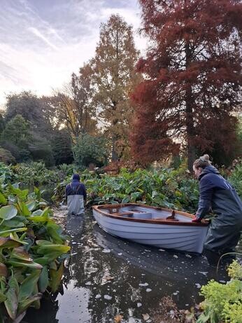 November news from the garden and propagation November news from the garden and propagation