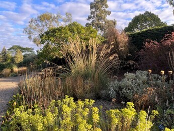 Ornamental Grasses for Autumnal Interest Ornamental Grasses for Autumnal Interest