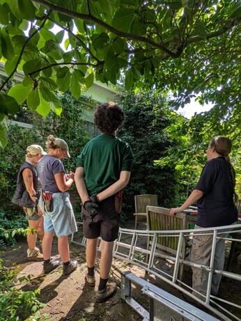 Weekly catch up with garden and propagation Weekly catch up with garden and propagation