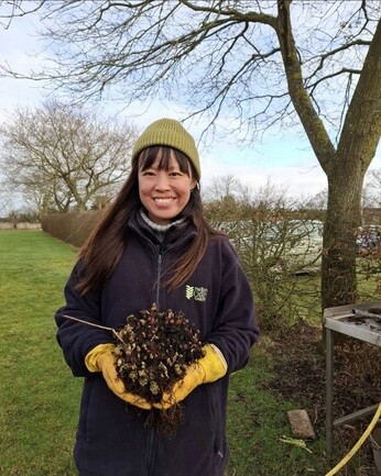 Weekly catch up with garden & propagation Weekly catch up with garden & propagation