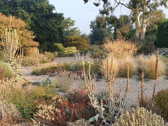 Adapting to Drought- what we have learnt Adapting to Drought- what we have learnt