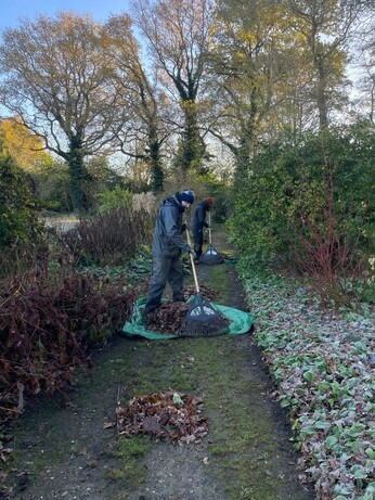 Weekly catch up with garden & propagation Weekly catch up with garden & propagation