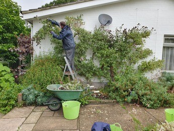 Late summer garden jobs Late summer garden jobs