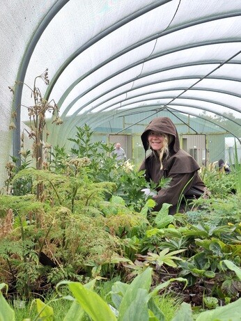 Weekly catch up with garden & propagation Weekly catch up with garden & propagation